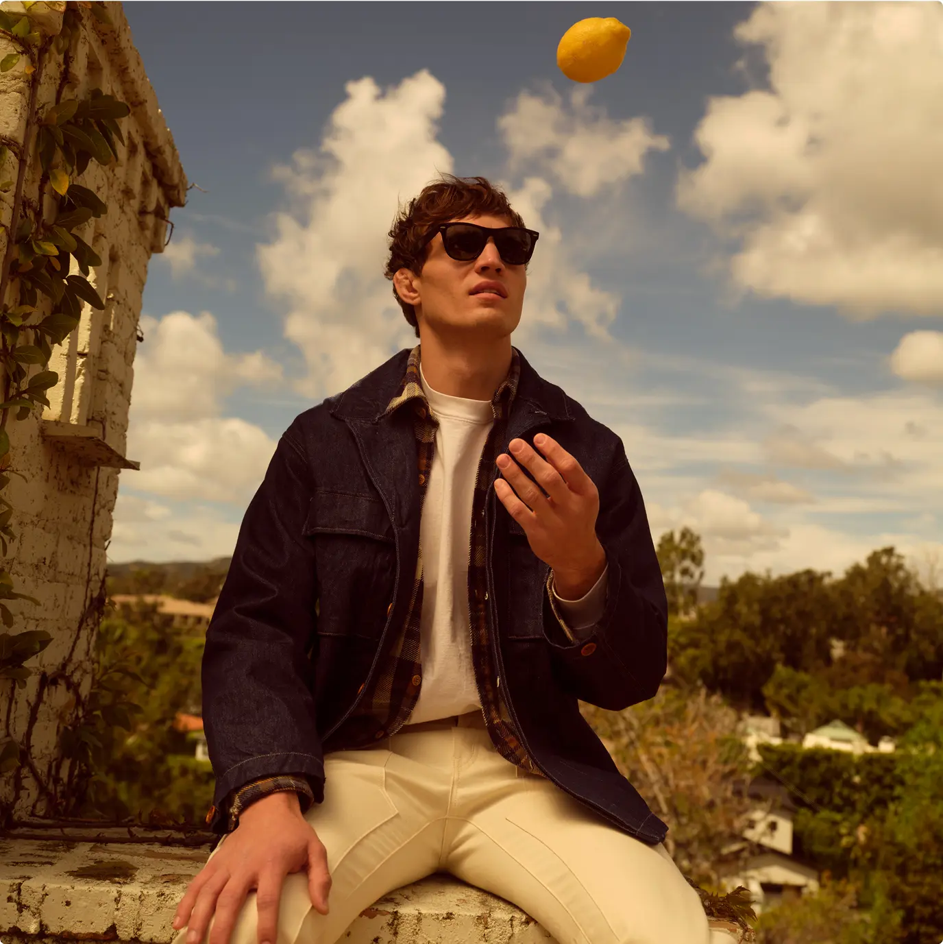 https://wonderful.io/wp-content/uploads/2025/08/lemon-toss-1024x1025.jpg