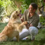 man with dog holding his paw in a green grass backyard