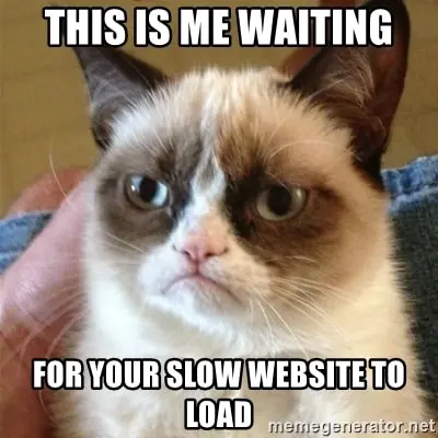 https://wonderful.io/wp-content/uploads/2023/05/slow-website-cat.webp